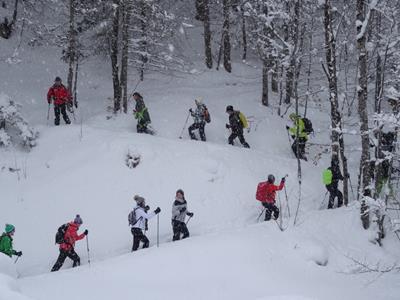 vorschaubild galerie