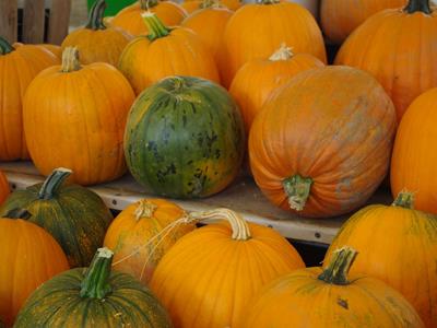 vorschaubild galerie