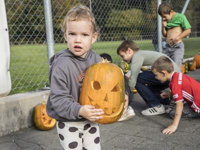 vorschaubild galerie