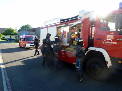 vorschaubild galerie