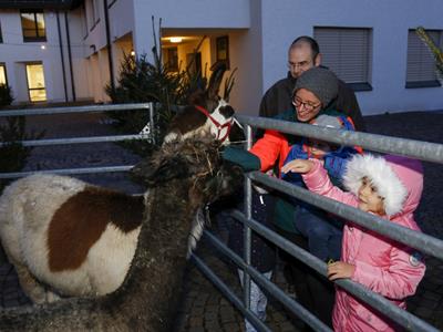 vorschaubild galerie