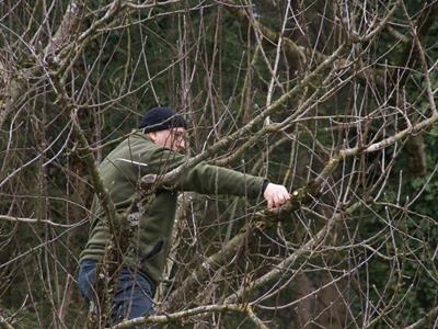 vorschaubild galerie