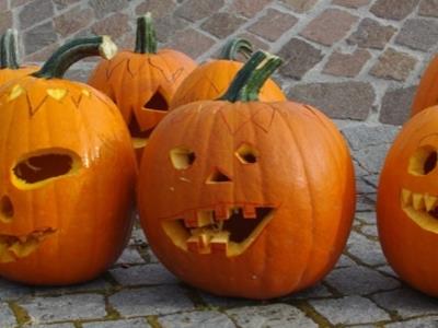 vorschaubild galerie